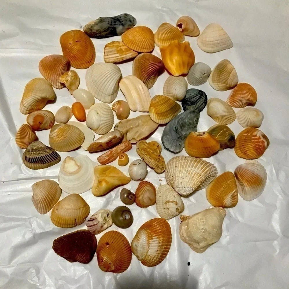Custom shell bundle — PLEASE READ